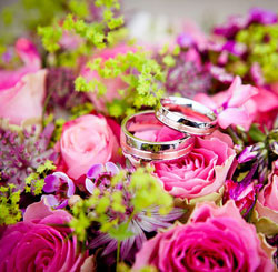 免费轰炸软件版